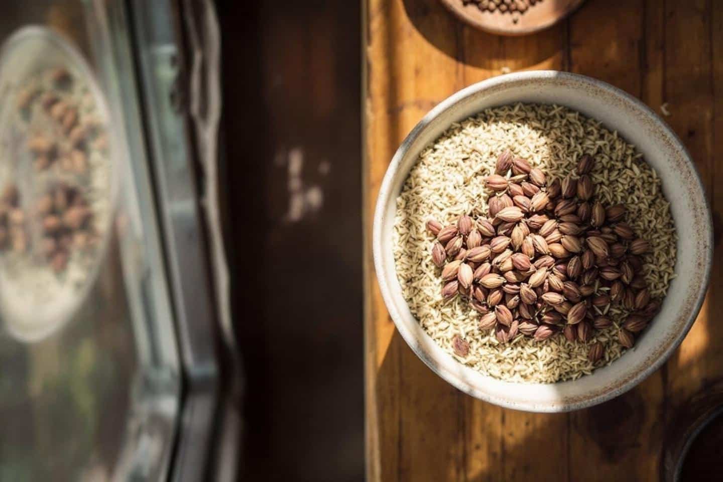 Psyllium : bienfaits, utilisation et conseils pratiques